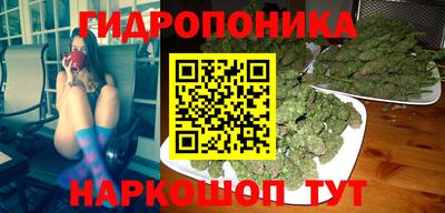 дживик Заводоуковск
