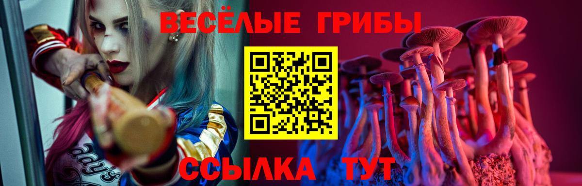 Полевской  Псилоцибиновые грибы прущие грибы  Вход с VPN  Псилоцибиновые грибы MAGIC MUSHROOMS 